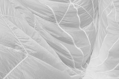 shape of things 002 - a Photographic Art Artowrk by LYNNE ROBERTS-GOODWIN